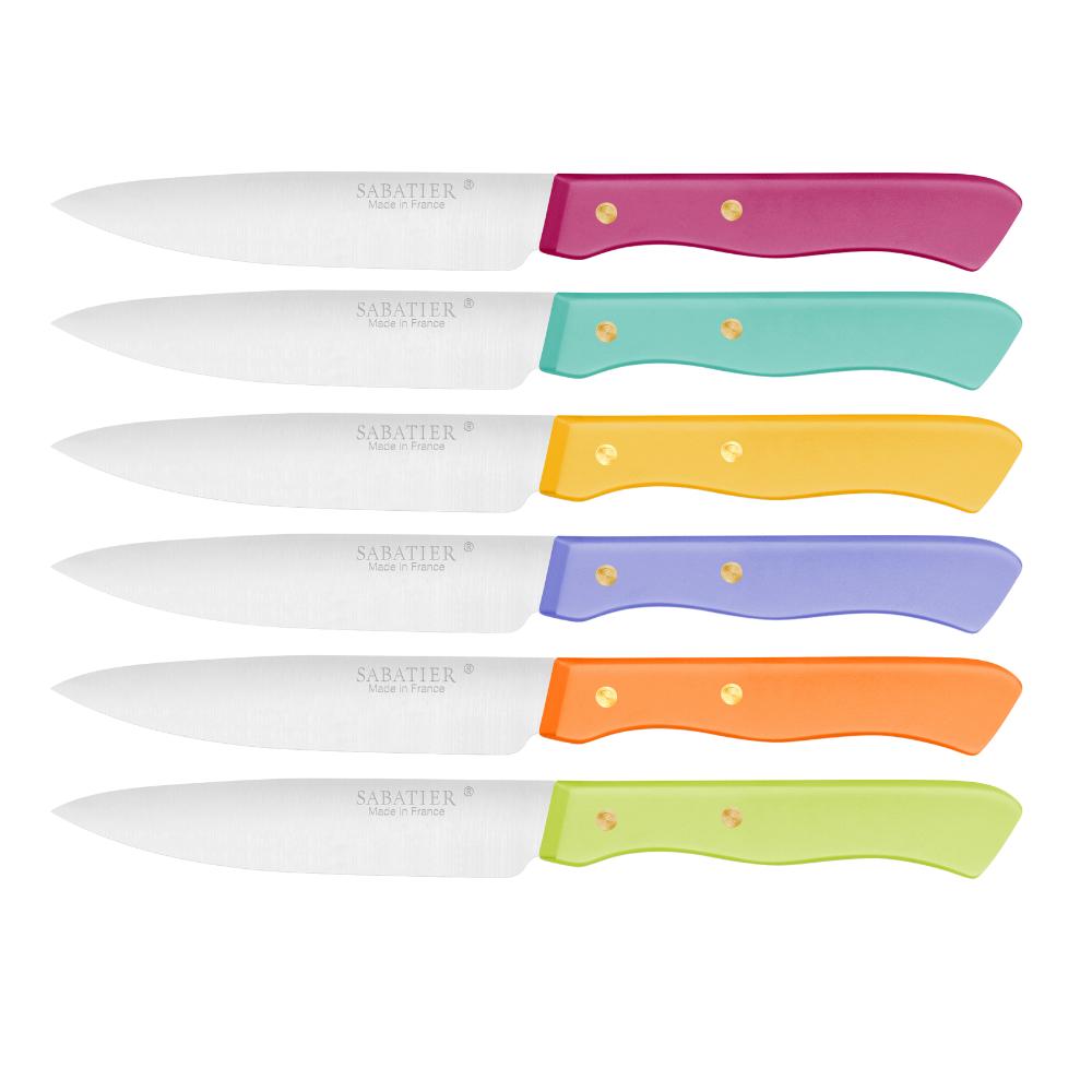Lion Sabatier 6pc 10cm Steak Knife Set - Serie 197 Mixed Colours by Lion Sabatier