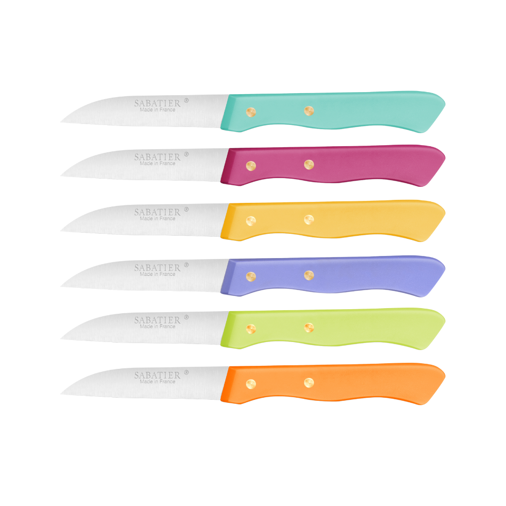 Lion Sabatier 6pc 7cm Stylet Paring Knife Set - Serie 197 Mixed Colors by Lion Sabatier